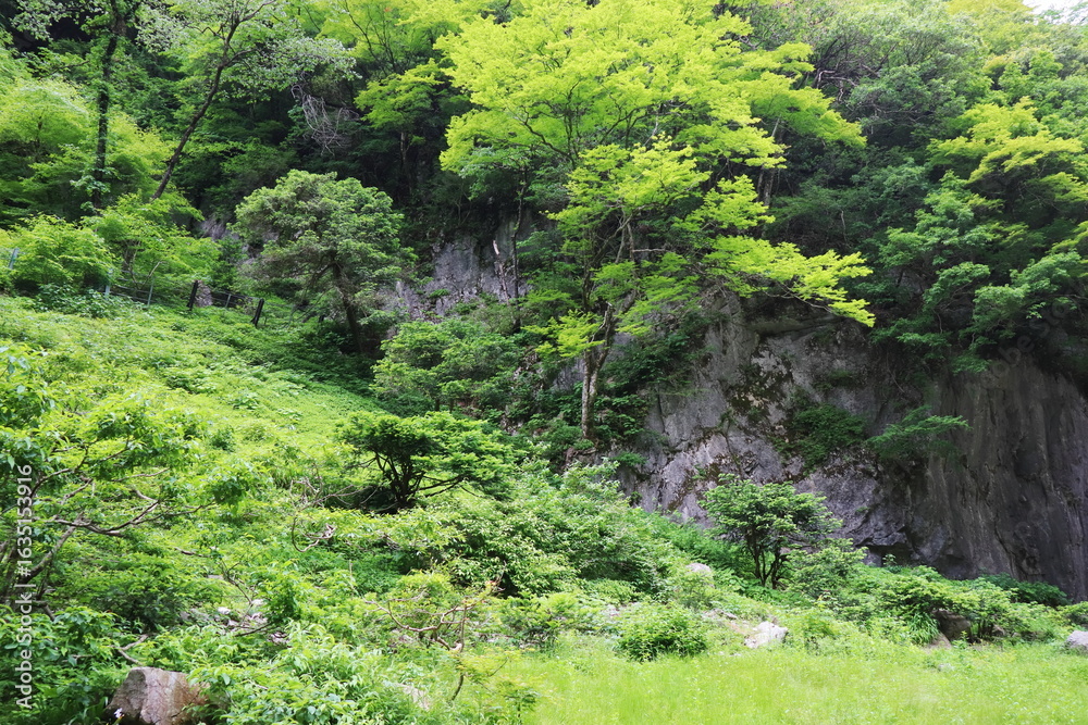 Naklejka premium 岡山県真庭市 神庭の滝自然公園
