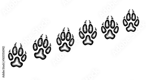Animal track illustration showcasing paw prints across a white background.