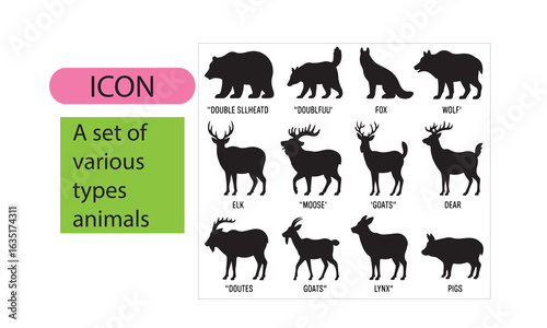 A set of wild animal