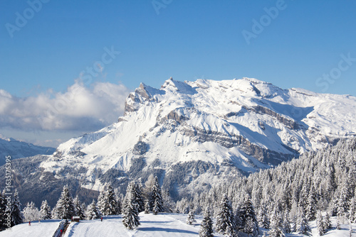 Ski slopes in the ski area des Houches Chamonix Mont-Blanc Haute-Savoie France