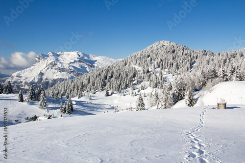 Ski slopes in the ski area des Houches Chamonix Mont-Blanc Haute-Savoie France
