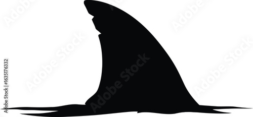 Silhouette of a shark fin against a white background.