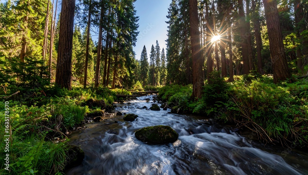 Obraz premium Sunny forest stream