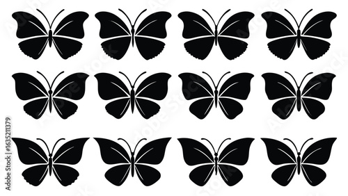 Black butterflies pattern butterfly insect