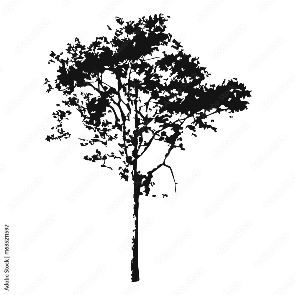 Obraz premium Hand drawn tree silhouette on white background