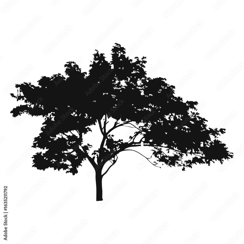 Fototapeta premium Hand drawn tree silhouette on white background