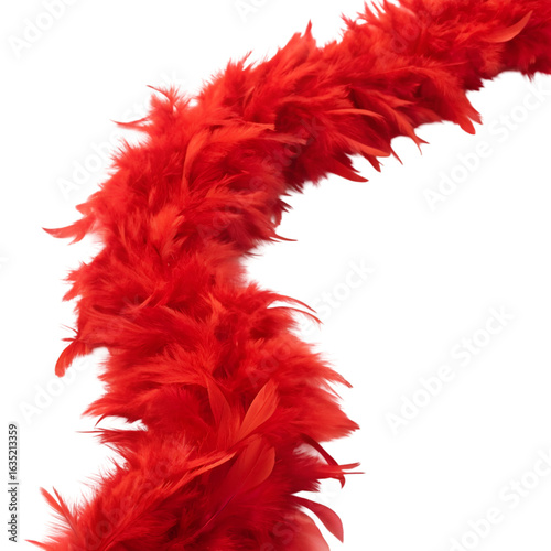 red feather isolated on white