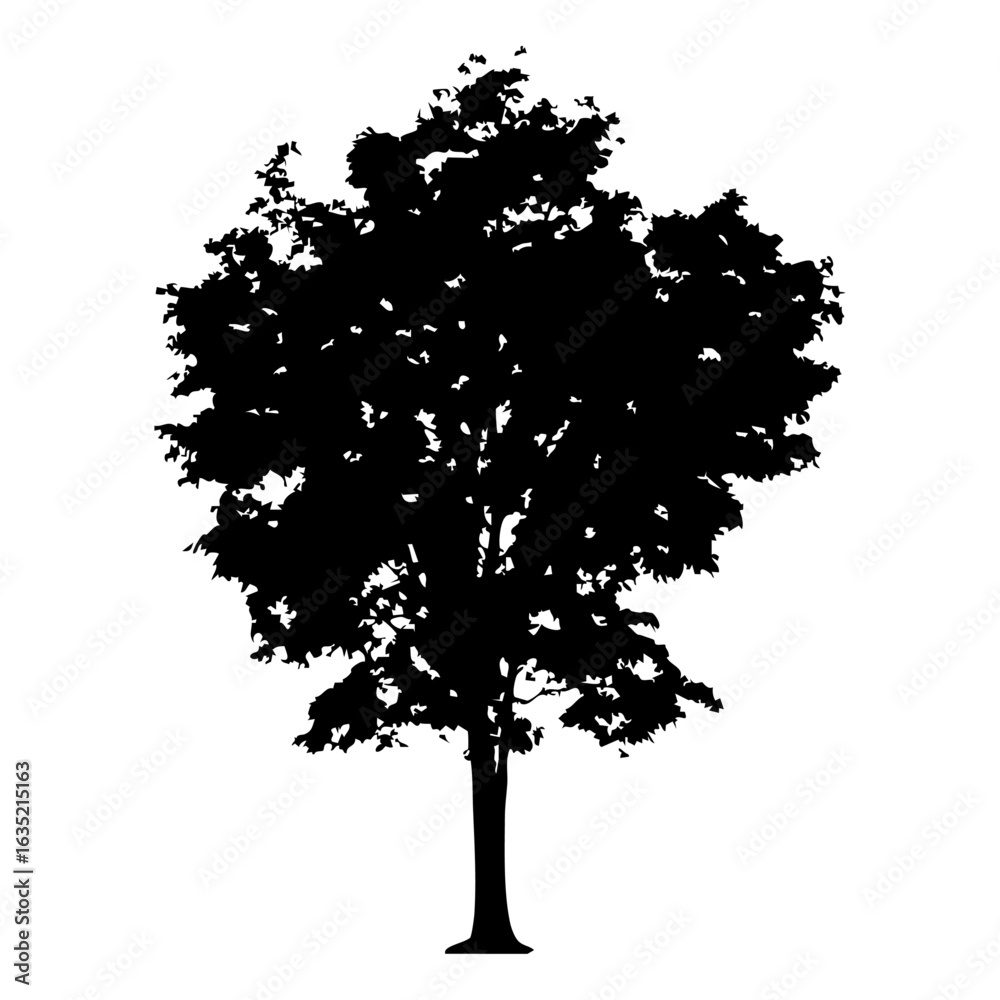 Fototapeta premium Hand drawn tree silhouette on white background
