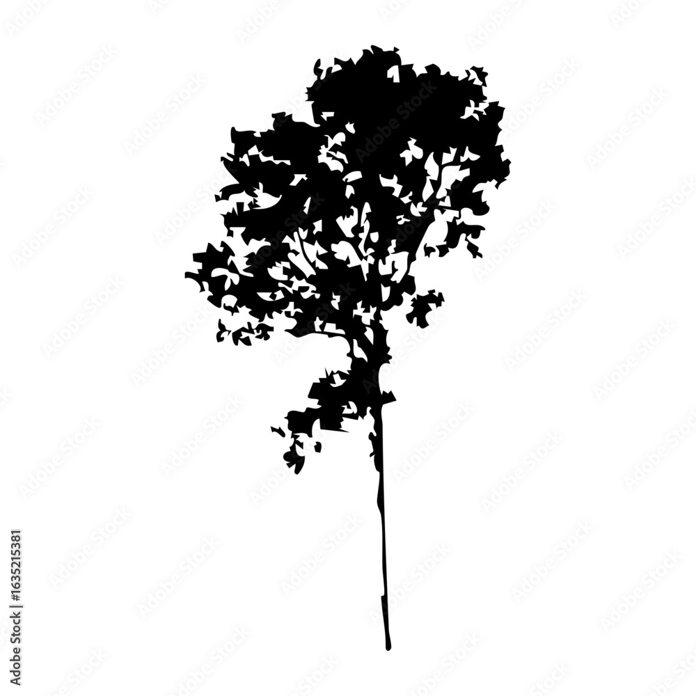 Fototapeta premium Hand drawn tree silhouette on white background
