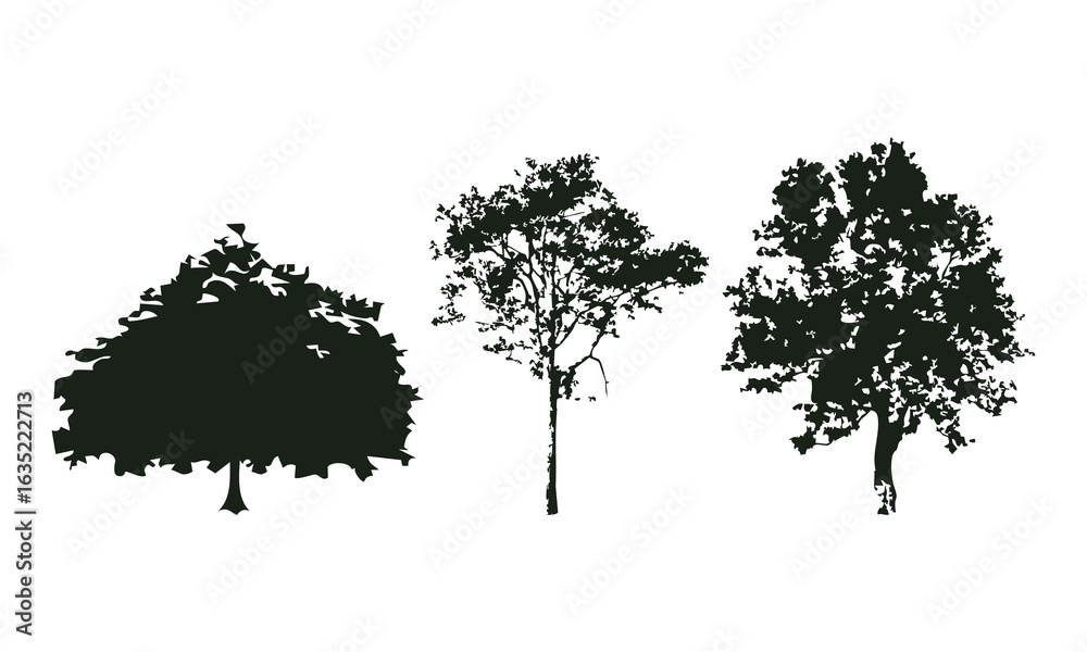 Fototapeta premium Hand drawn tree silhouette on white background