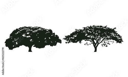 Hand drawn tree silhouette on white background