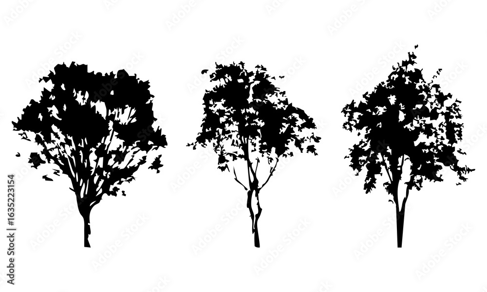 Obraz premium Hand drawn tree silhouette on white background
