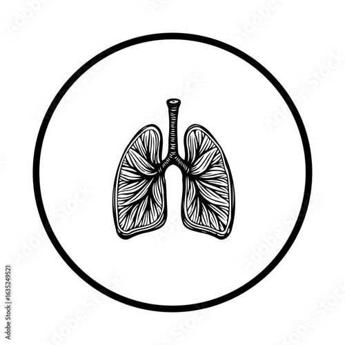 Detailed anatomical illustration of human lungs inside a black circle for medical presentations with realistic features
