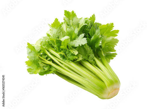 Fresh green celery stalks isolated on black background, Isolated On Transparent Background, Png, Cut Out