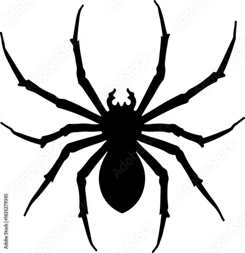 spider on a white background, spider, insect, animal, isolated, white, nature, arachnid, black, bug, vector, halloween, macro, illustration, symbol, scary, tarantula, brown, arachnophobia, white backg