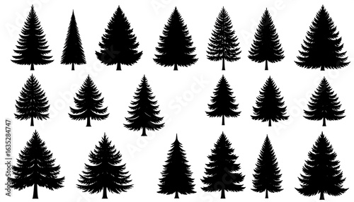 Silhouettes of various Christmas trees