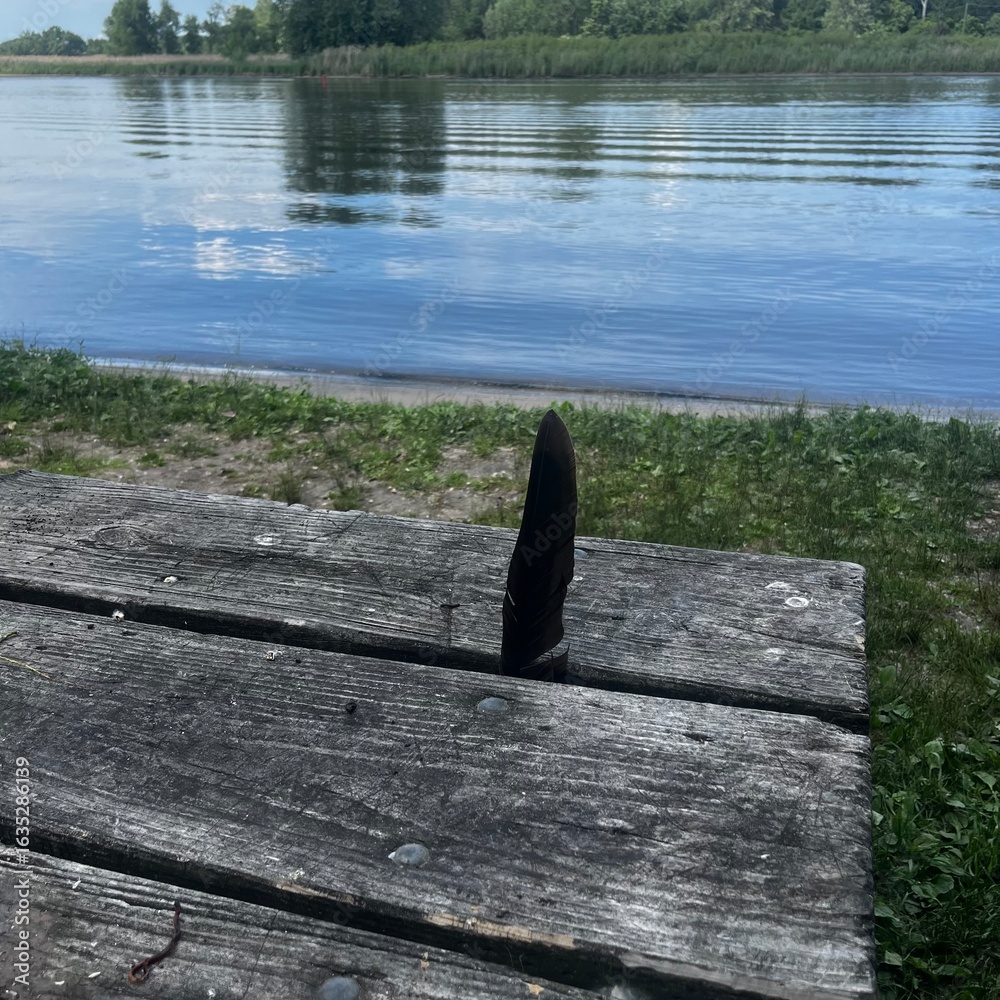 Fototapeta premium Single feather 