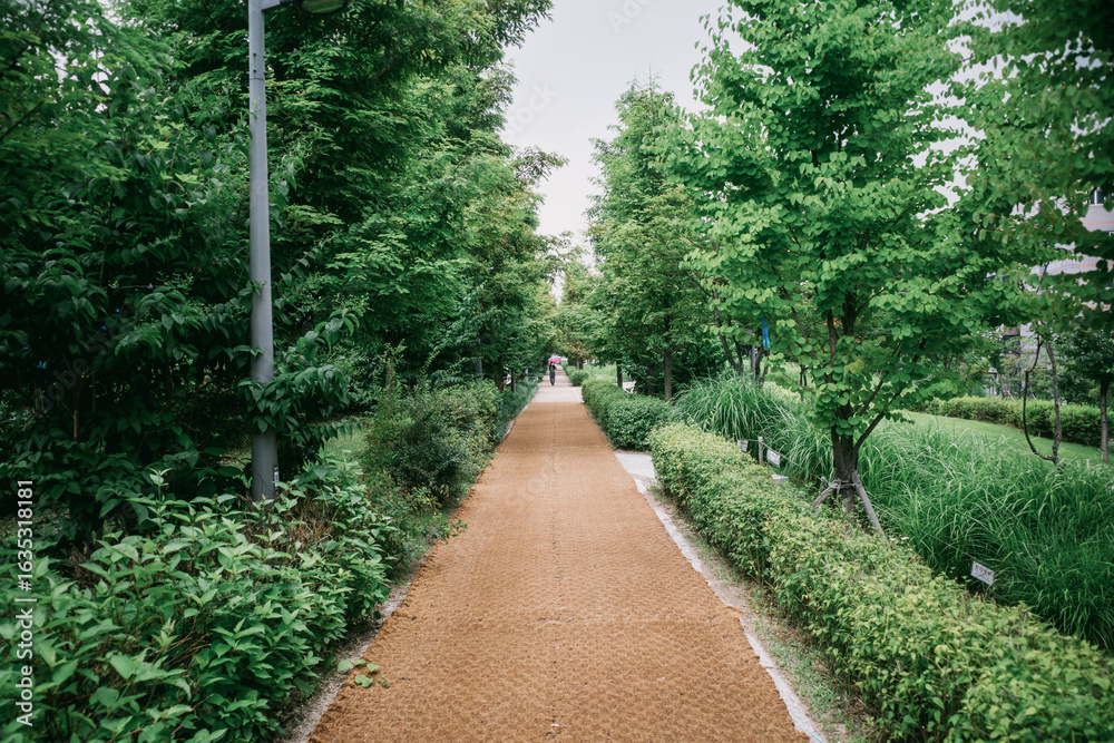 Naklejka premium The View of Seoul Park