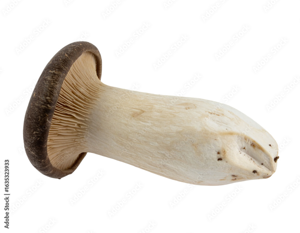 Fototapeta premium Discover the unique texture and natural form of a king oyster mushroom, perfect for culinary creations