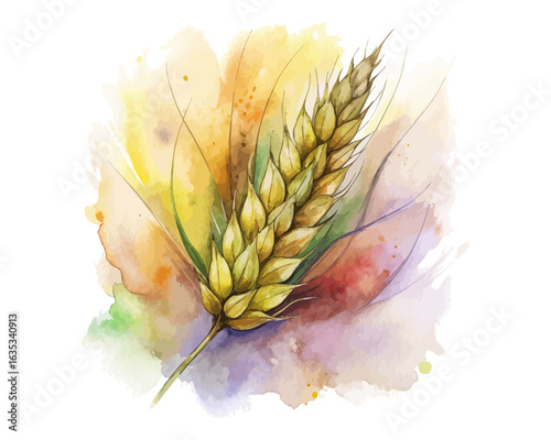 watercolor Barley vector illustration isolated on white background