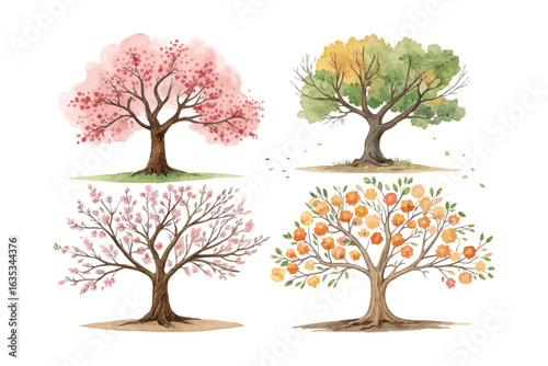set of watercolor apricot tree vector illustration isolated on white background