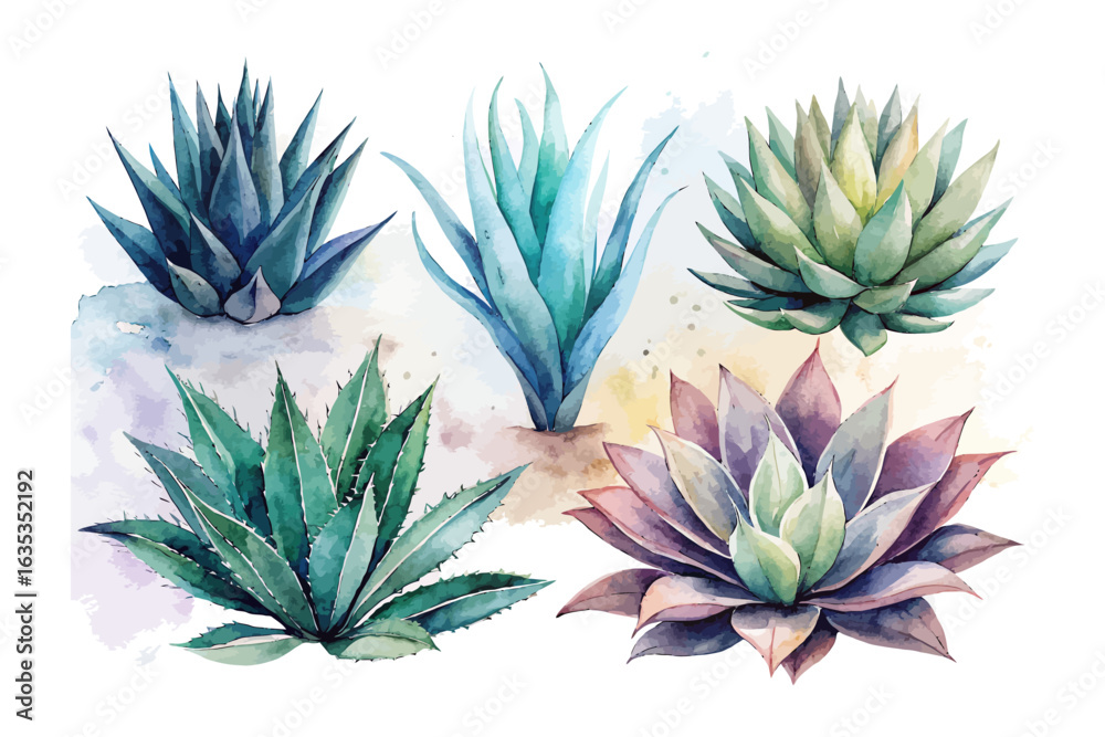 Obraz premium set of watercolor agave vector illustration isolated on white background