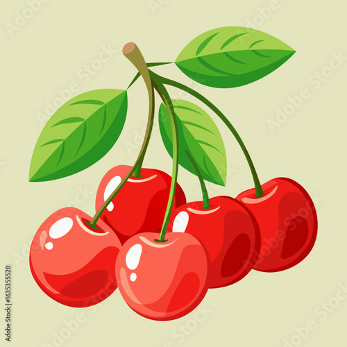 vector illustration of cherry