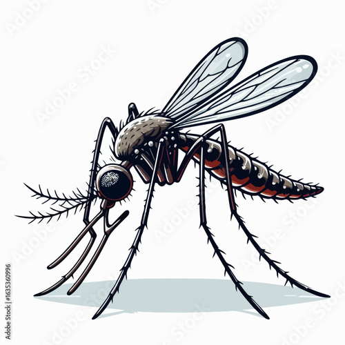 vector illustration of mosquito