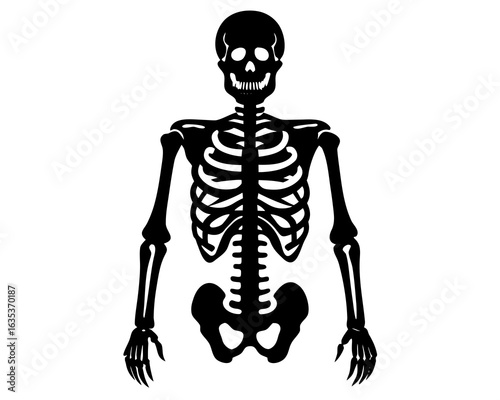 Skeleton vector silhouette illustration isolated on white background