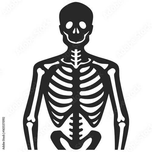 Skeleton vector silhouette illustration isolated on white background
