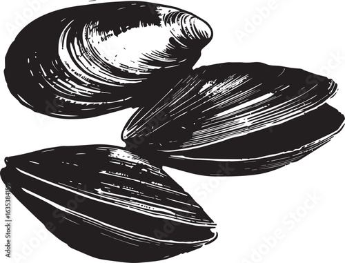 Clams clean simple silhouette