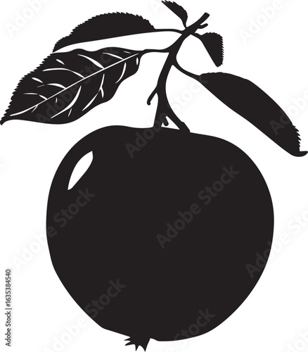 Quince fruit clean simple silhouette
