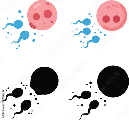 Sperm Fertilizing Egg Illustration in Color and Silhouette for Medical Purposes