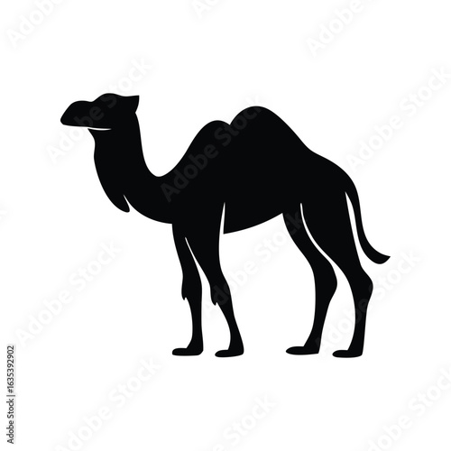camel silhouette-vector