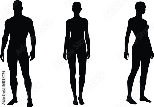 Silhouette of man and woman standing, human body outline, male and female figure, anatomy shape, gender concept, health fitness, medical illustration, body proportion study.

Art & Illustration