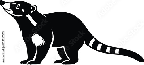 A black silhouette of a coati looking up, showcasing its distinctive ringed tail, elongated snout, and curious posture