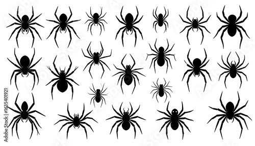 Black silhouettes of various spiders