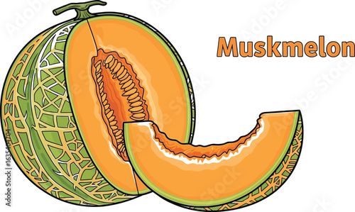 A vibrant muskmelon illustration, showcasing its sweet and juicy slice, with a focus its healthy and fresh qualities, perfect for highlighting delights of summer fruits