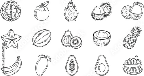 Hand drawn sketch of various tropical fruits such as durian, mangosteen, dragon fruit, rambutan, lychee, starfruit, melon, kiwi, coconut, pineapple, banana, mango and avocado