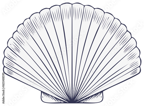 Stylized Scallop Shell Vector Drawing Seashell Ocean Life Marine Nature Element
