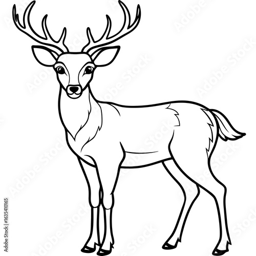 Elegant deer with majestic antlers standing proudly