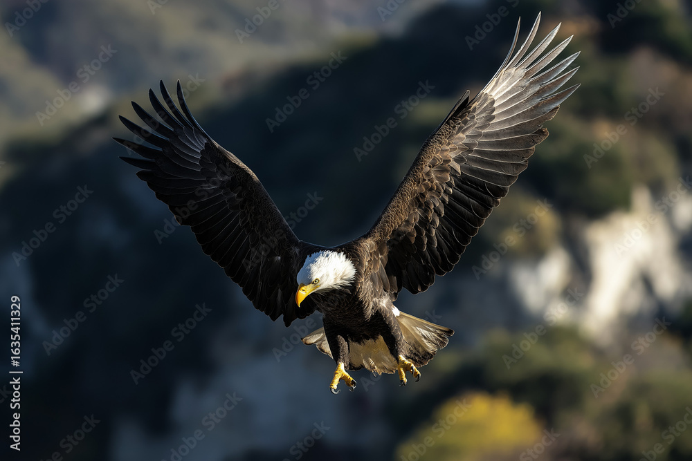 Naklejka premium Bald eagle charging through the sky with strength and speed