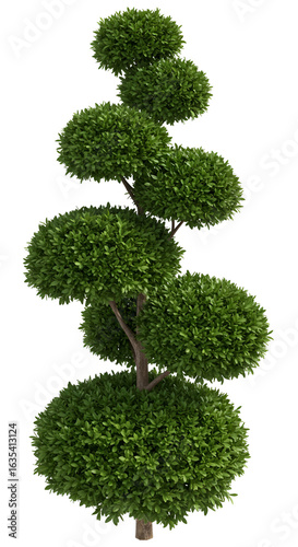 Green Spiral Topiary Tree Illustration Isolated on Transparent Background