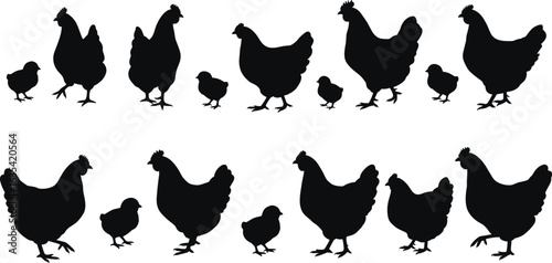 Chicken and chicks silhouette, farm poultry vector set, hen outline design, barnyard animals graphic, rural agriculture illustration, 