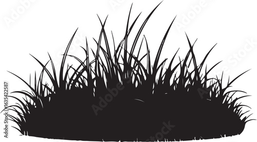 Silhouette of a grassy tuft on white