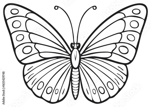 Detailed line art of a symmetrical butterfly with black outlines on a white background showcasing its wings and body