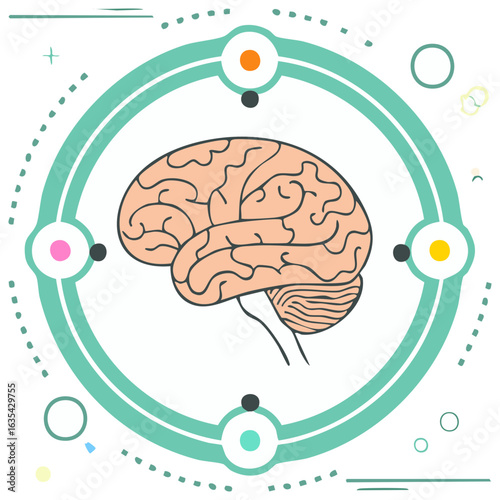 Human Brain Anatomy Inside Modern Geometric Circle Illustration for Neuroscience Studies