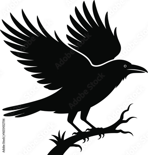 Black bird perched on branch wings spread crow raven