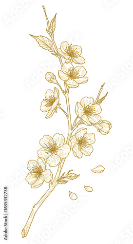 Elegant Gold Floral Branch Illustration On Isolated Black Background