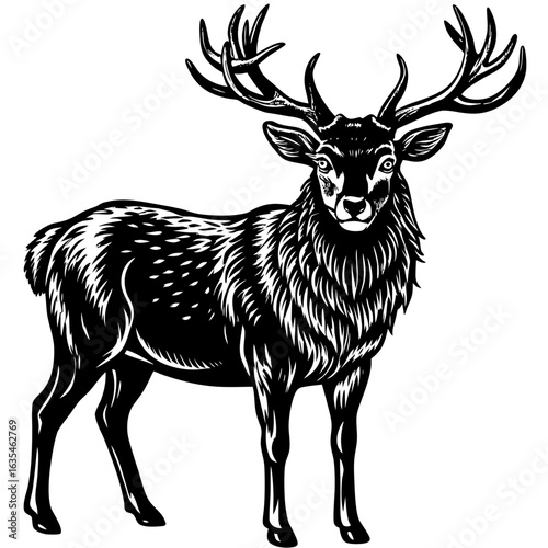 Majestic stag with impressive antlers stands proudly, symbolizing nature's power and wild beauty.